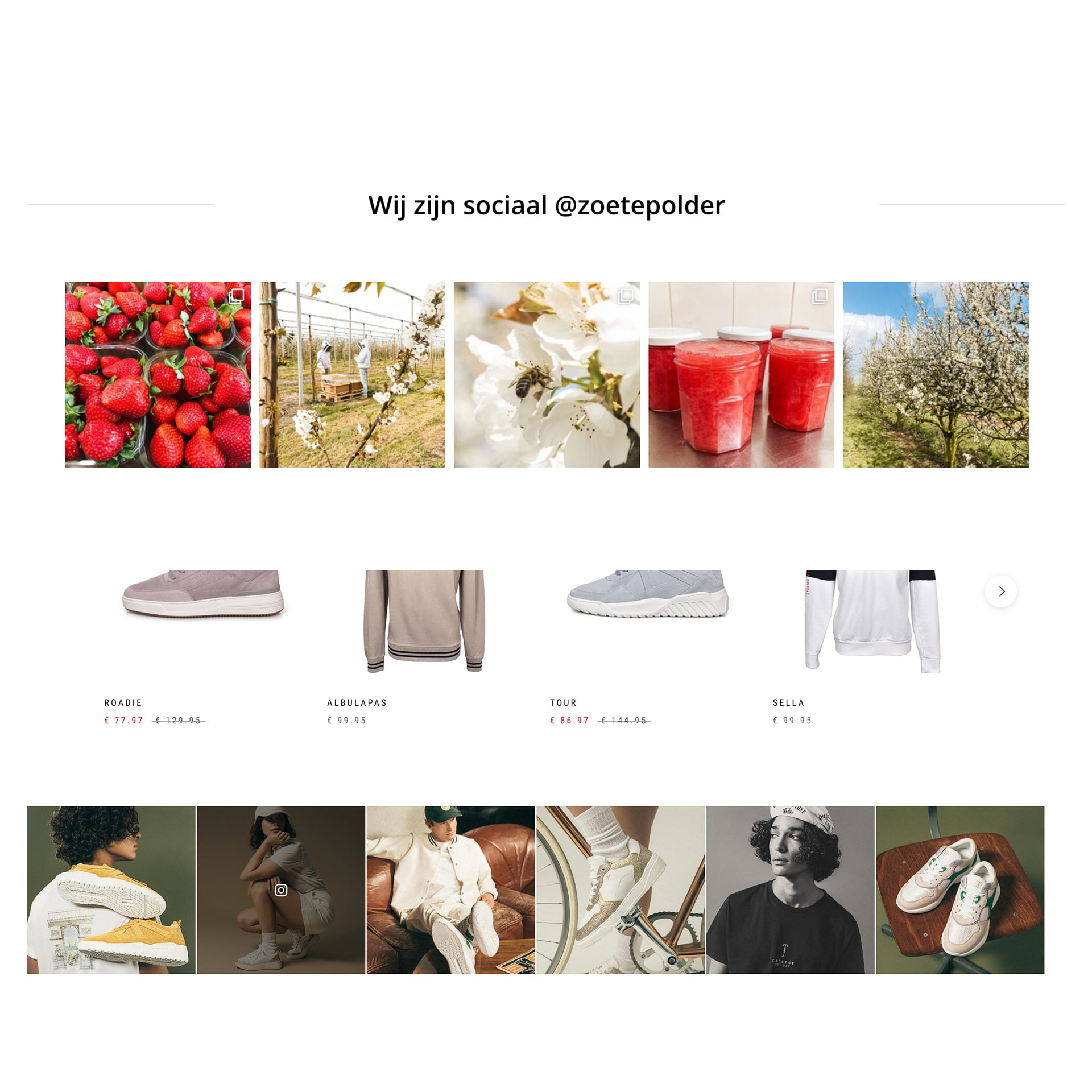 Instagram feed